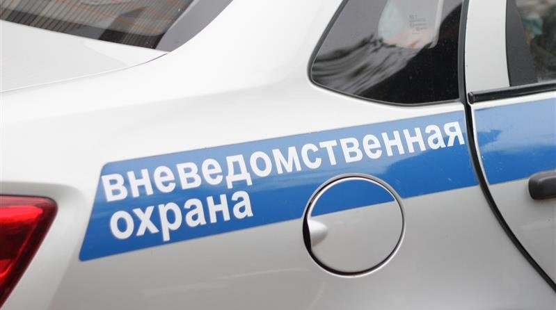 За минувшую неделю в Вологодской области сотрудники Росгвардии пресекли 48 нарушений