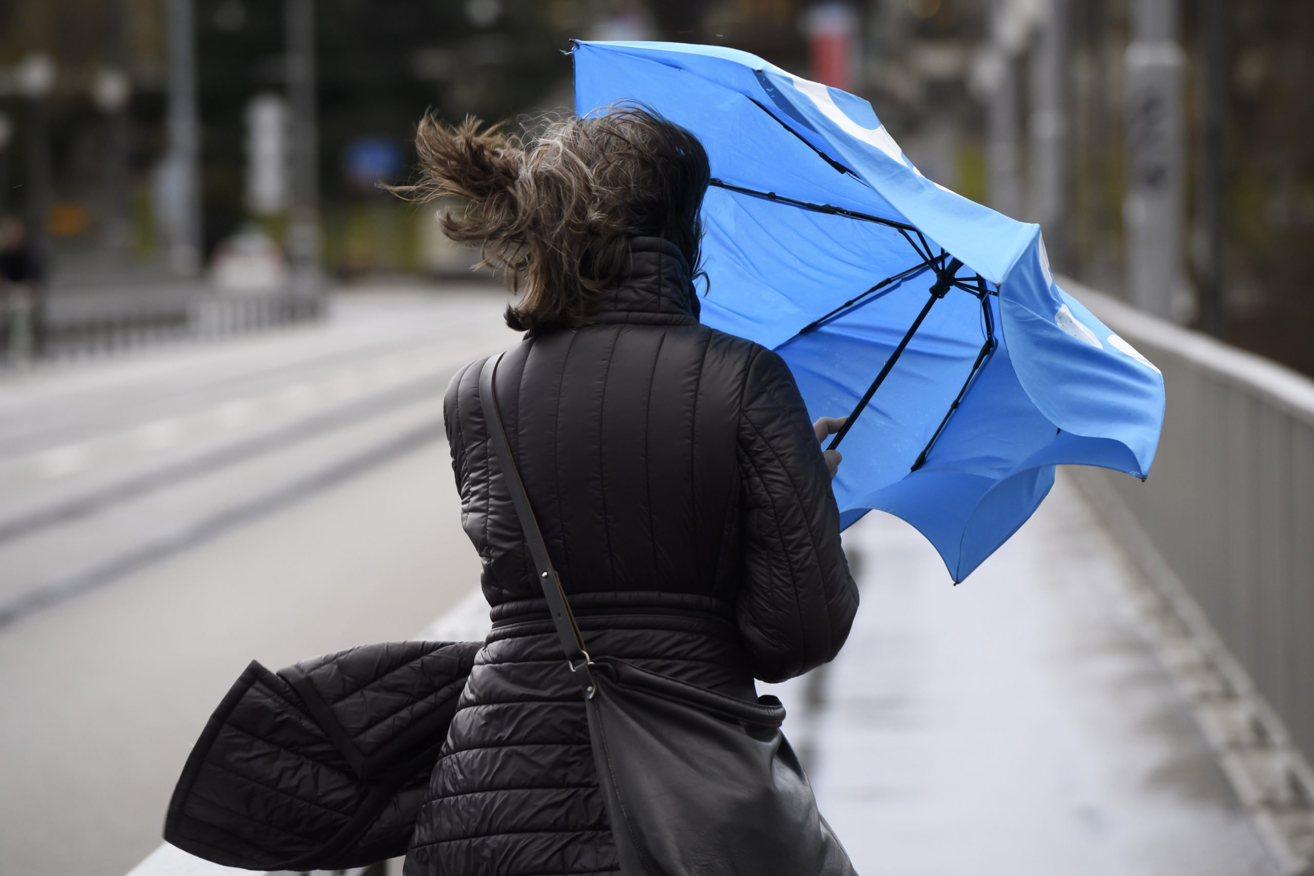 Сильный ветер и интенсивные осадки: вологжан предупреждают об ухудшении погоды