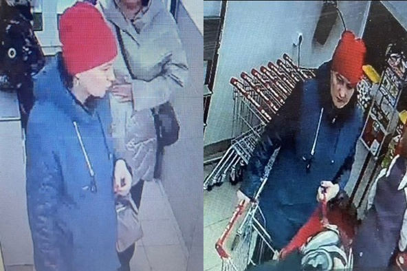 В Вологде разыскивают женщину, подозреваемую в краже продуктов