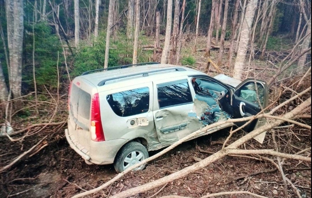 В Череповецком районе Лада оказалась в кювете, погиб водитель