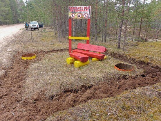 В Вологодской области проводят работы по противопожарному обустройству лесов