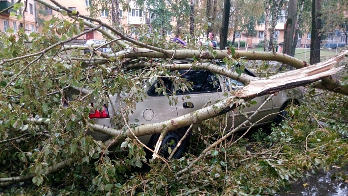 26 ноября ураган. Ураган в Вологде. Ураган в Вологде 2010 год. Ураган в Вологде 2021. Ураган в Вологде 10 августа 2021 год.