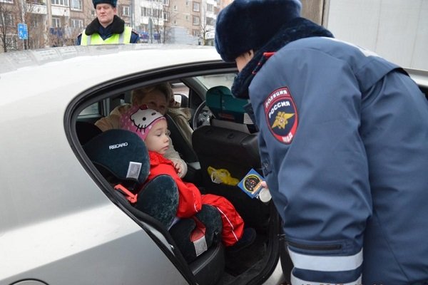 Свиньи в Прибрежном