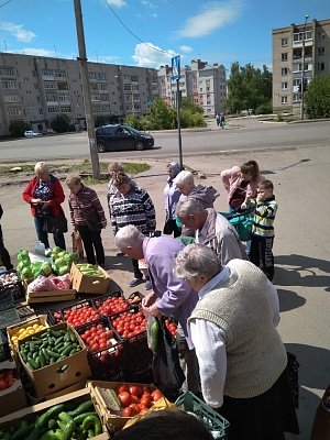 Правительство, что же вы делаете?