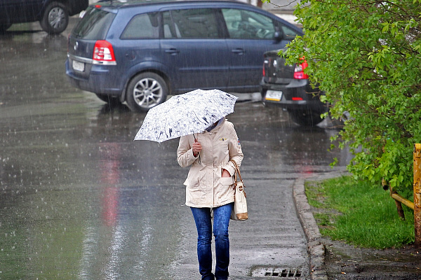 Синоптики обещают дождливую неделю в Вологде