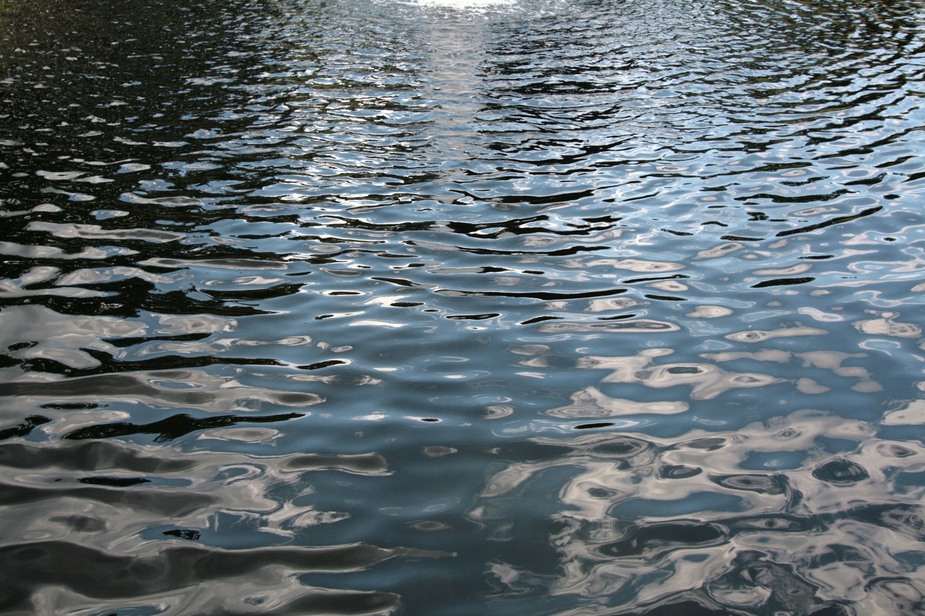 Вода озерца