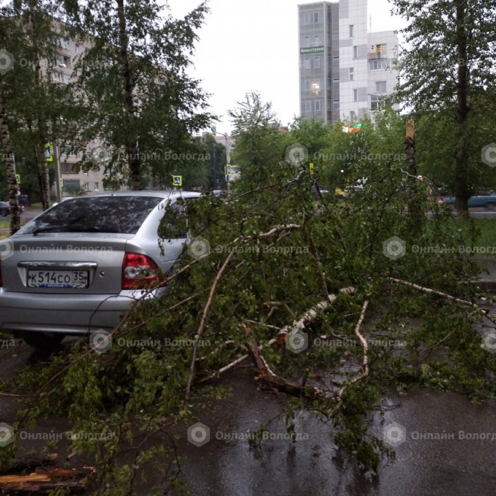 Как проходит ураган в москве