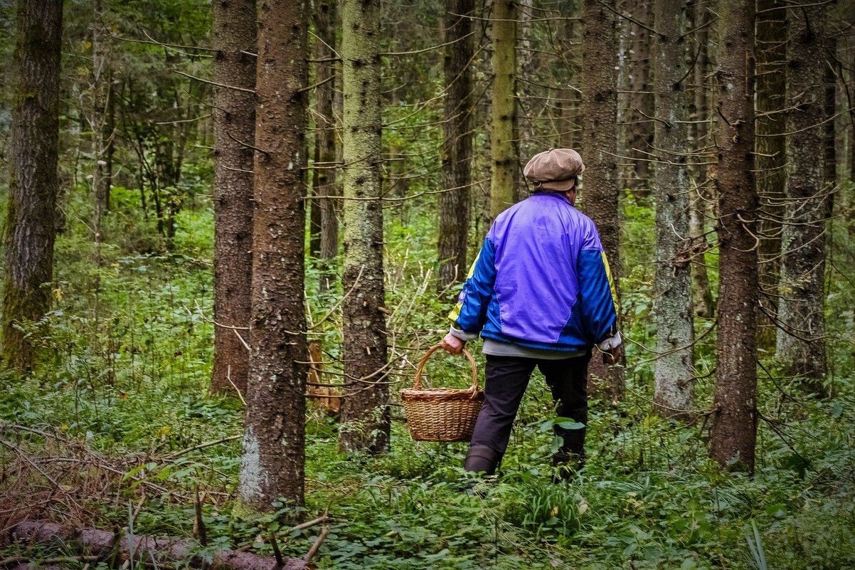 Человек уходит в лес тайгу