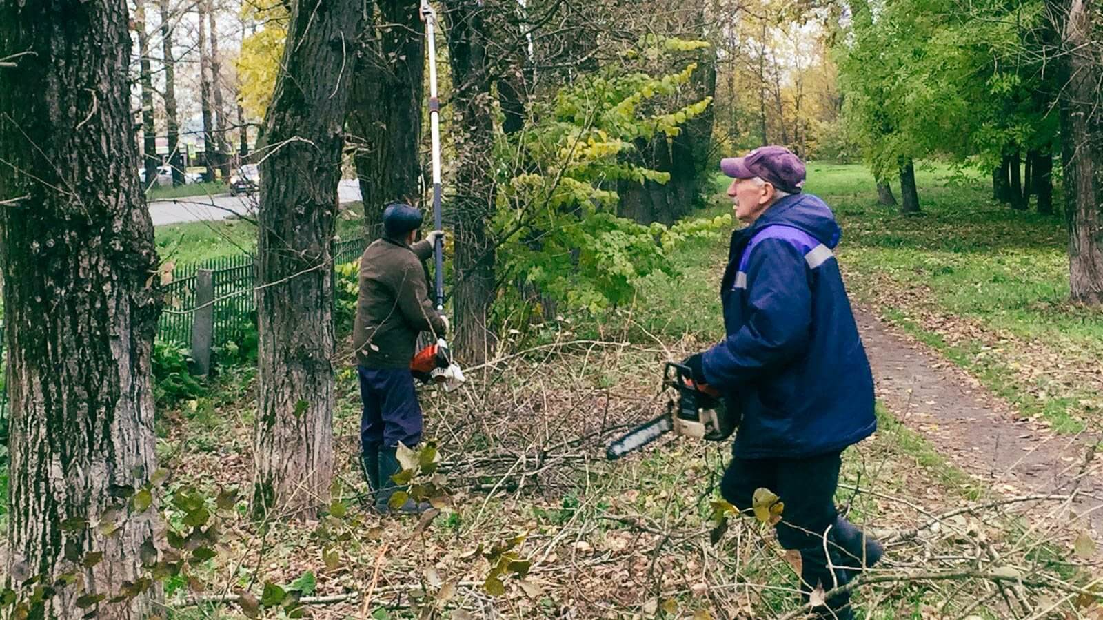 План парка ветеранов вологда