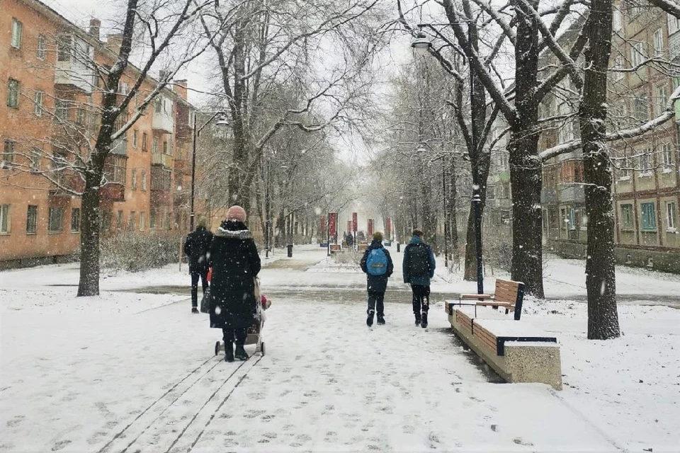 Синоптики рассказали о погоде в Вологодской области 31 декабря