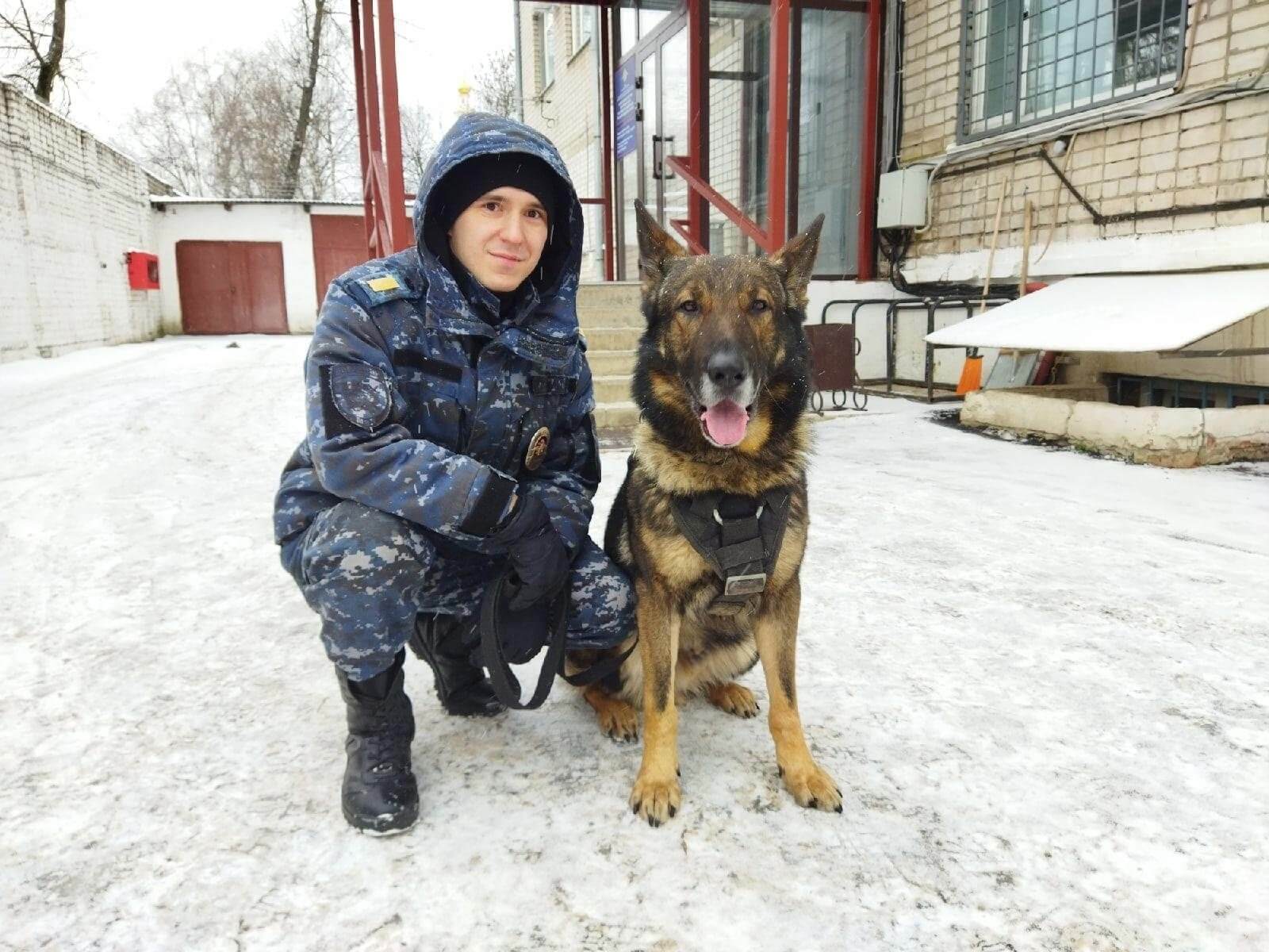 В Вологодском районе кинолог с собакой помогли раскрыть кражу | 03.01.2022  | Вологда - БезФормата