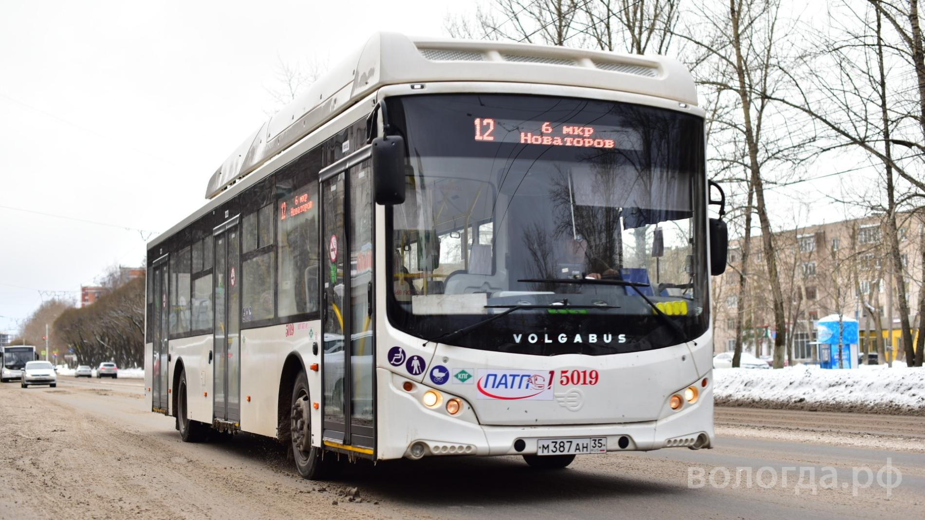 Маршрут 80 д. Транспорт Вологда. Новые автобусы Вологды. Автобусе 80 маршрут.