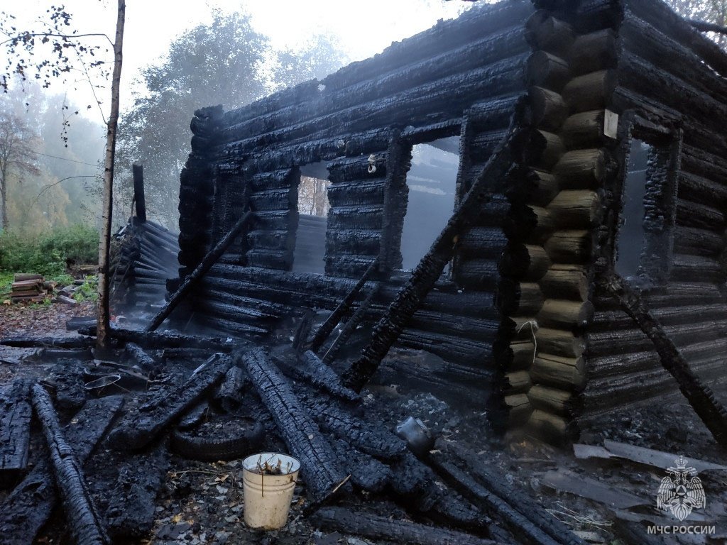 Пожар в Шекснинском районе унес жизнь мужчины