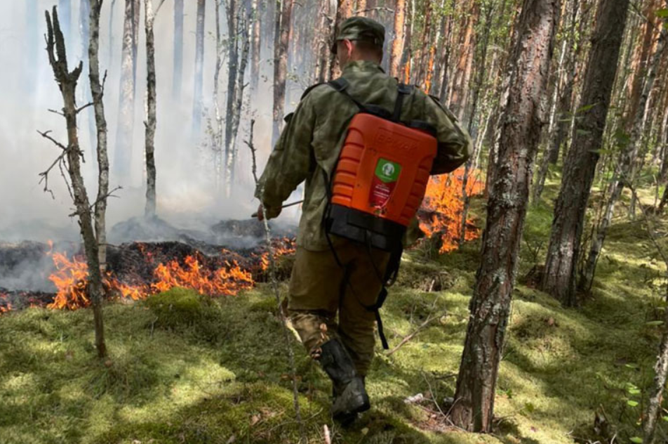 За минувшие выходные в Вологодской области потушили три лесных пожара