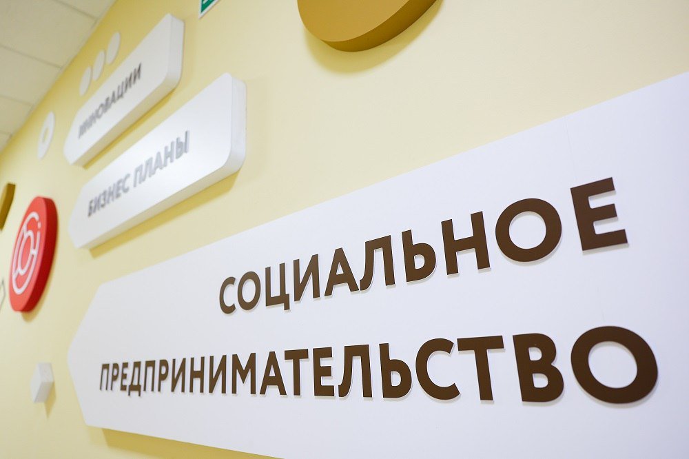 В Вологодской области социальные предприниматели могут воспользоваться мерами поддержки по нацпроекту