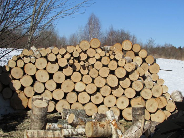 В Вологодской области фиксируется снижение объема незаконных рубок леса