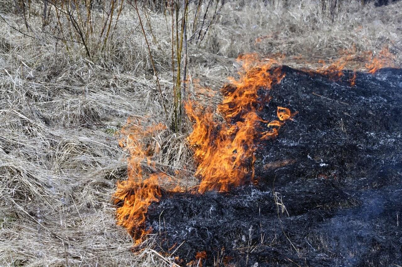 В Вологде подростки подожгли траву на берегу реки Содема | 08.04.2024 |  Вологда - БезФормата