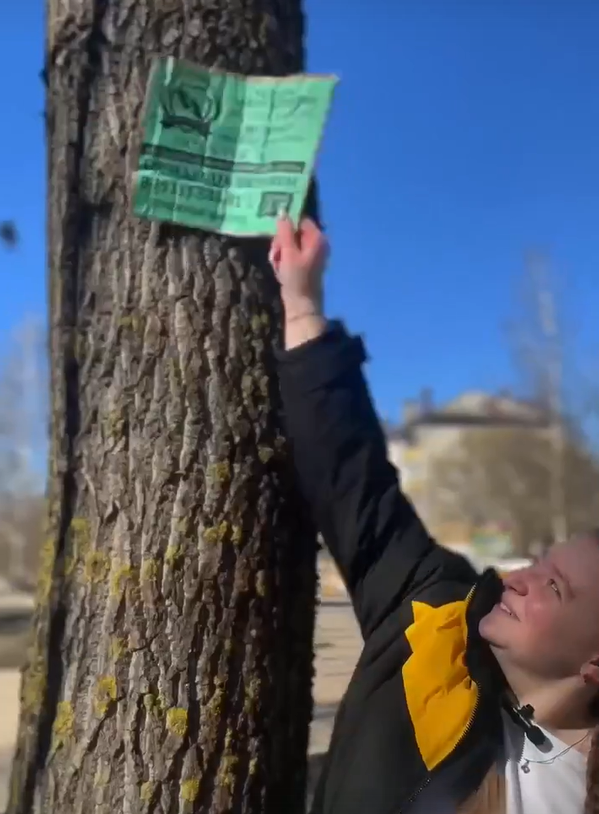 В Вологде очищают деревья от рекламы