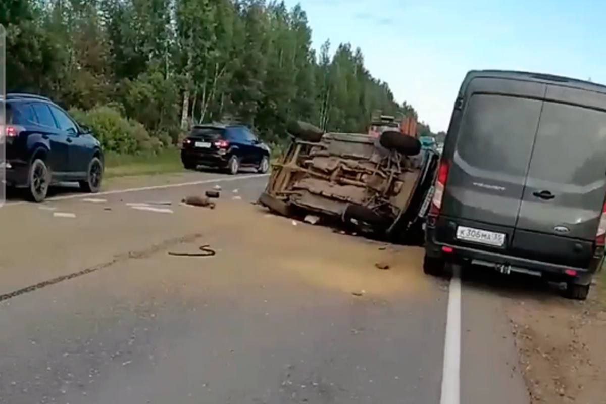 Два человека погибли в ДТП около Сокола | 27.06.2024 | Вологда - БезФормата