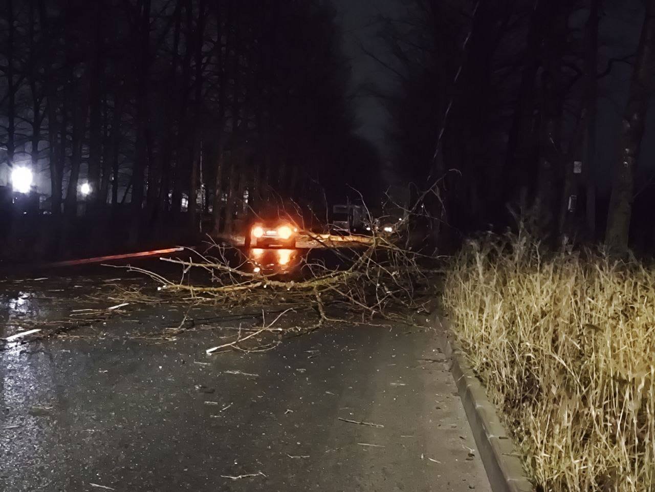 За время непогоды спасателям поступило 20 сообщений от вологжан