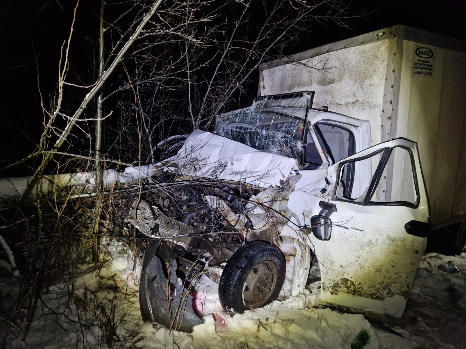 В Сямженском округе в ДТП с грузовиком пострадали два человека