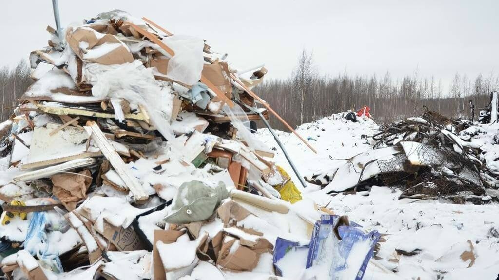 В Вологде установили личность женщины, выбросившей тело младенца на свалку в 2018 году