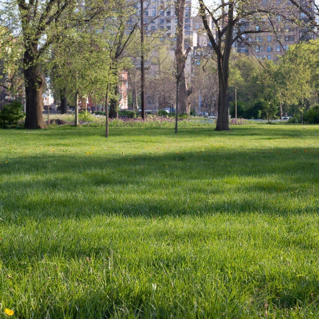 В Вологде начали сезонную обработку парков от клещей