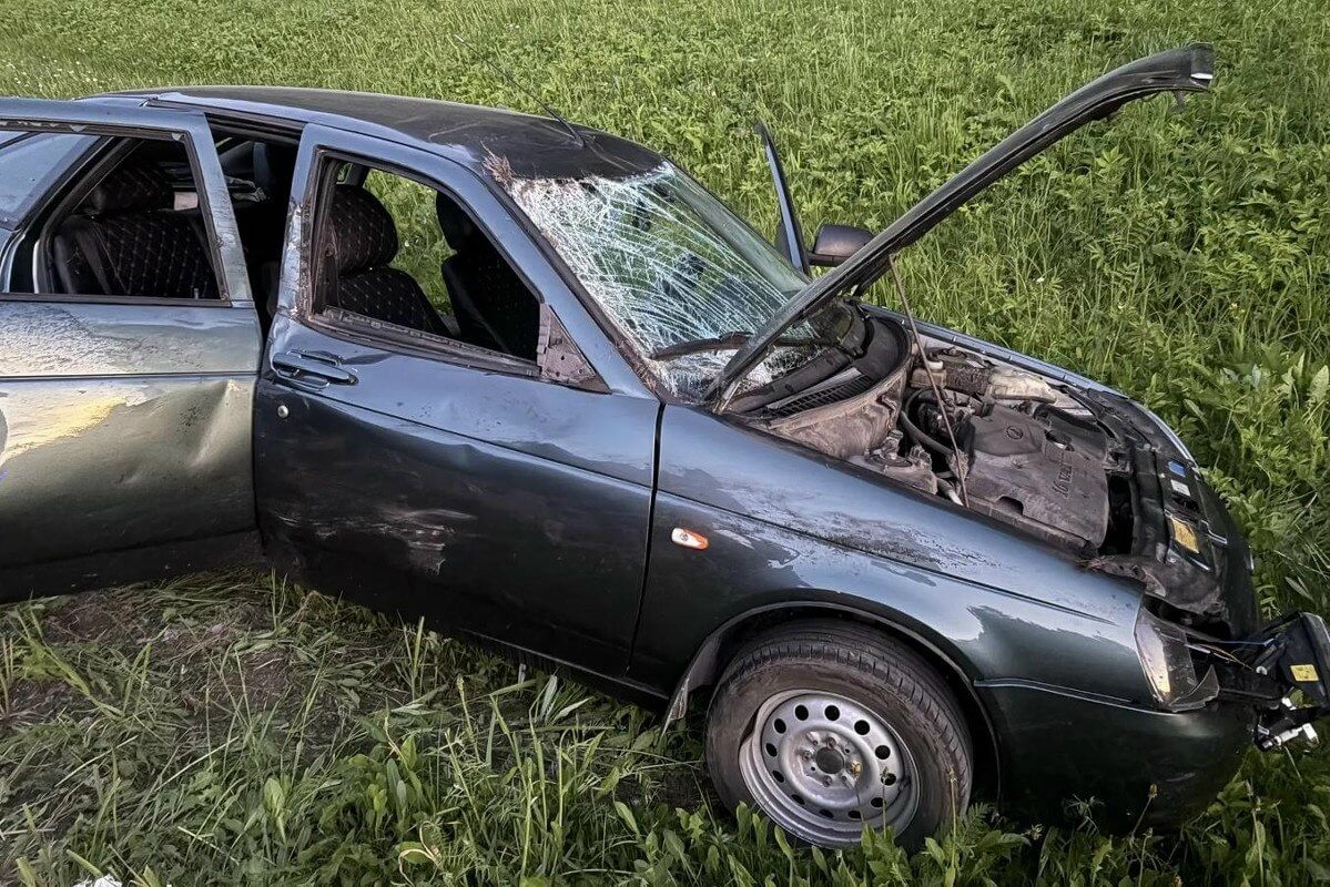 Две женщины пострадали в ДТП с лосем
