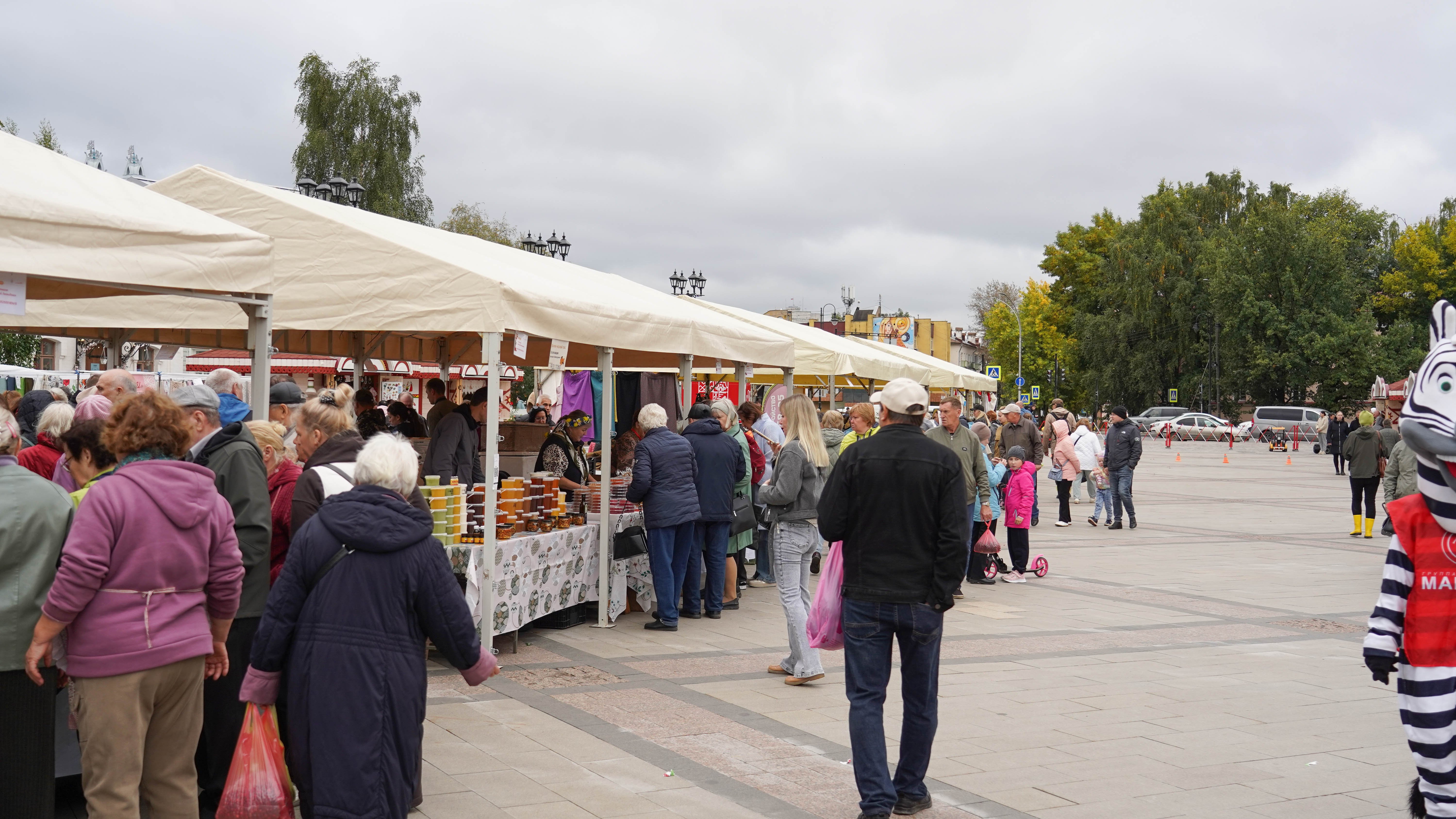 Более семи тонн картофеля продали вологодские фермеры на ярмарке «Дары осени»