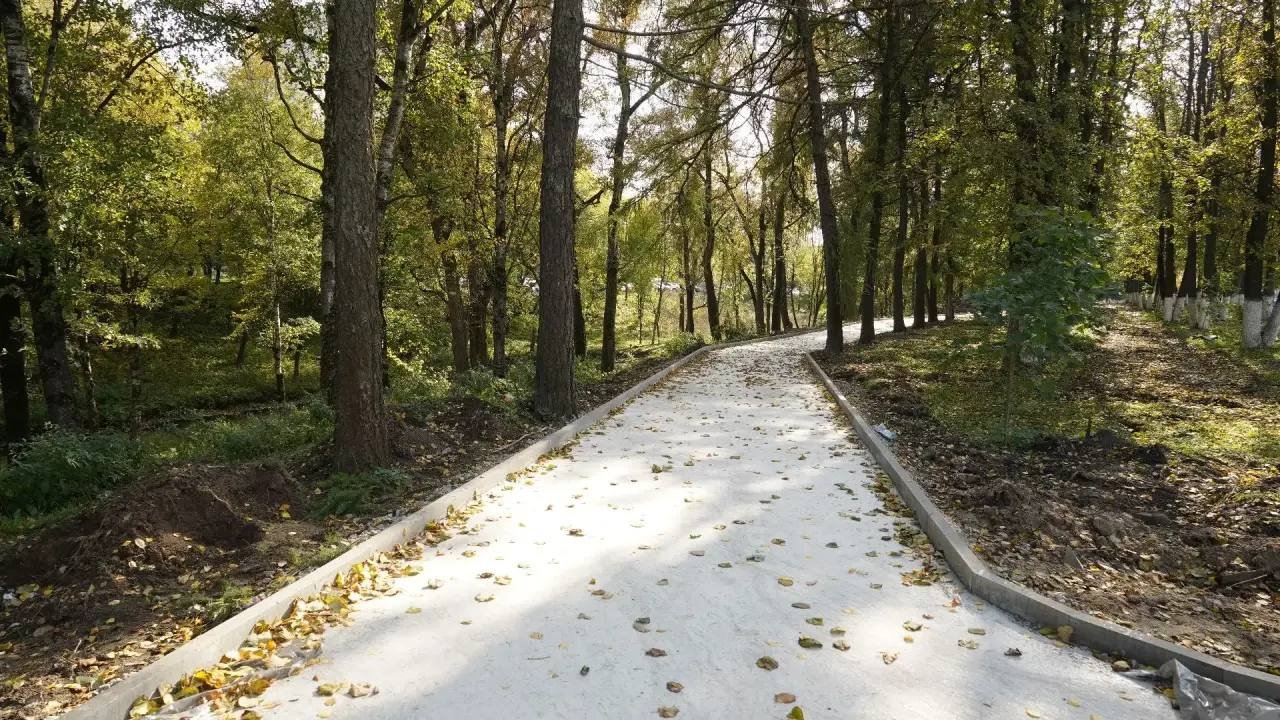 В Вологде укладывают плитку на Мира и бетонируют чашу бассейна на Фрязиновской